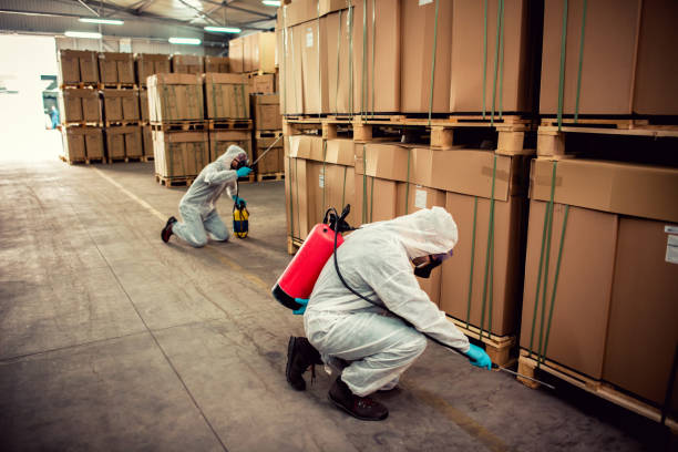 Best Emergency Pest Control  in Iola, KS