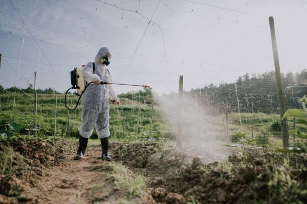 Best Mosquito Control Services  in Iola, KS