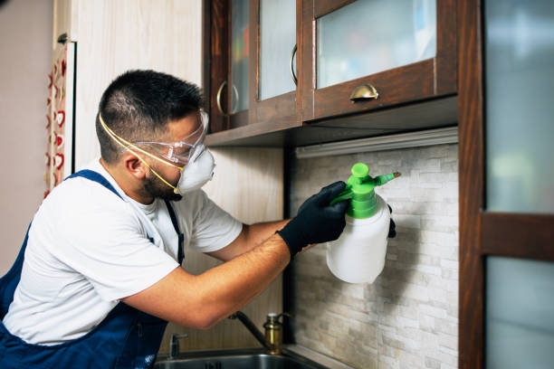  Iola, KS Pest Control Pros