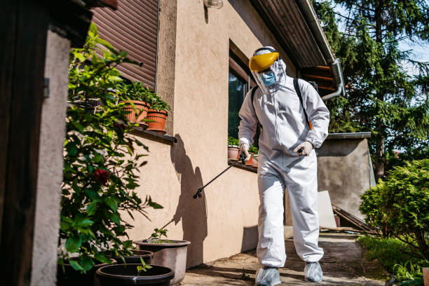 Best Pest Removal Services  in Iola, KS