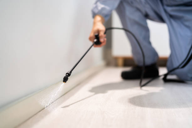 Best Local Pest Control Services  in Iola, KS