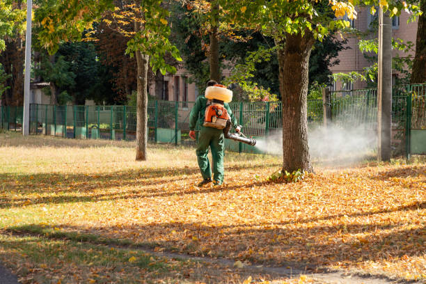 Reliable Iola, KS Pest Control Solutions