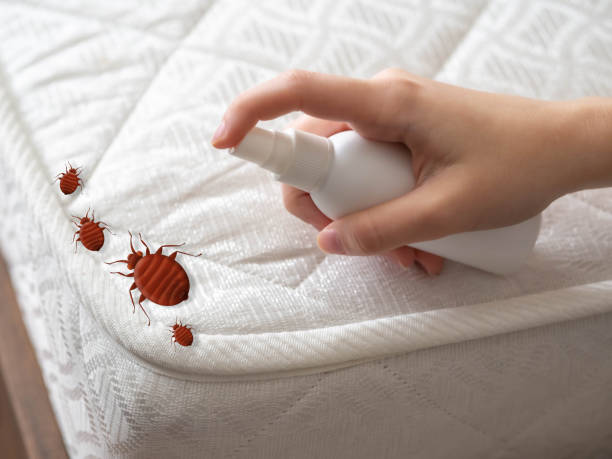 Best Flea Control Services  in Iola, KS