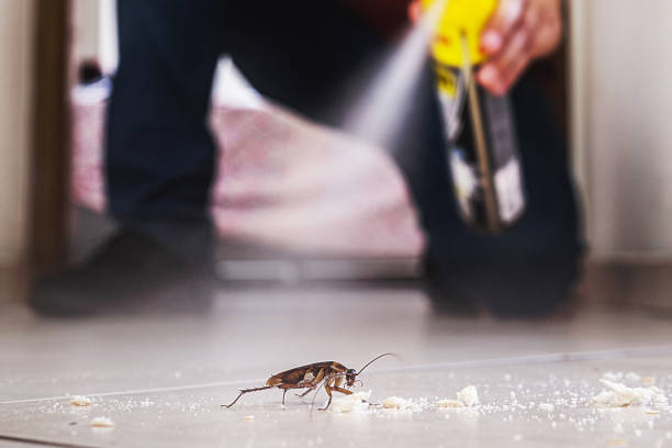 Best Affordable Pest Control Services  in Iola, KS