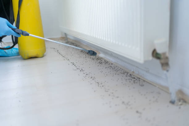 Best Exterminator Services  in Iola, KS